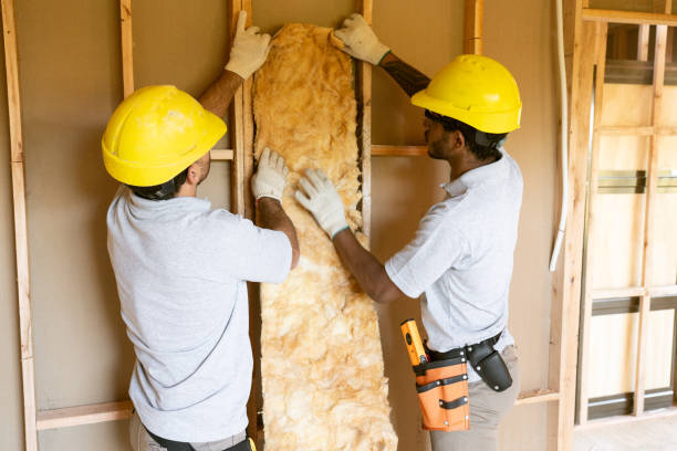 Best Insulation for New Construction  in Alturas, FL